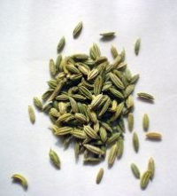 Fennel Seeds