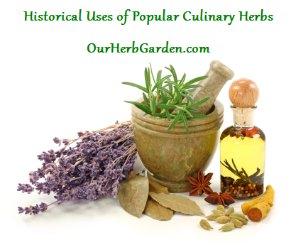 Historical Uses of Herbs