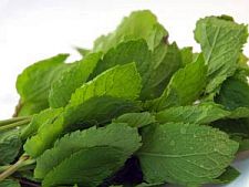 Fresh mint leaves make the tastiest mint punch.