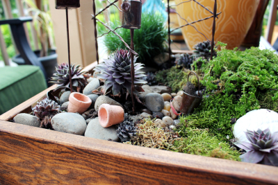 Fairy Garden