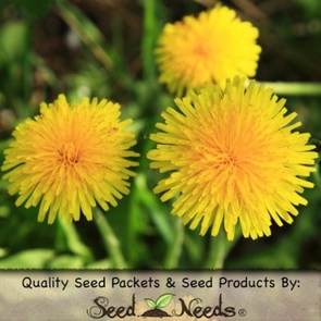 seedneeds-dandelion