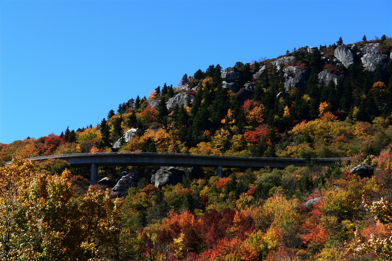 Linn Cove Viaduct on the Blue Ridge Parkway