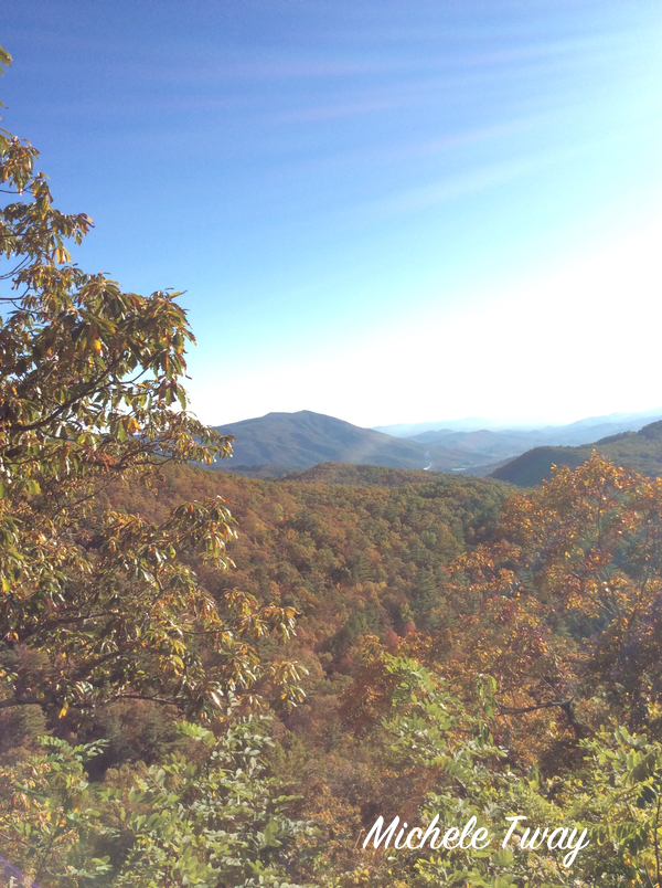 rays of sunshine in carolina