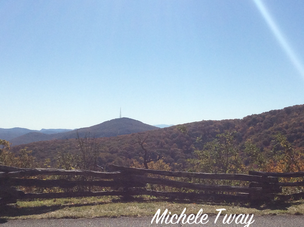 view from linn cove viaduct